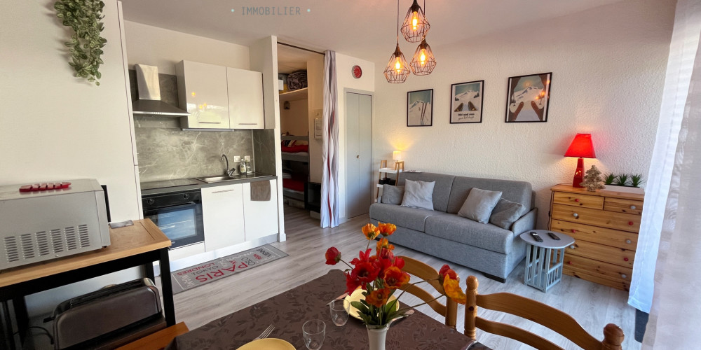 appartement à ST LARY SOULAN (65170)